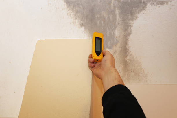 Best Biohazard Mold Removal  in Algona, IA