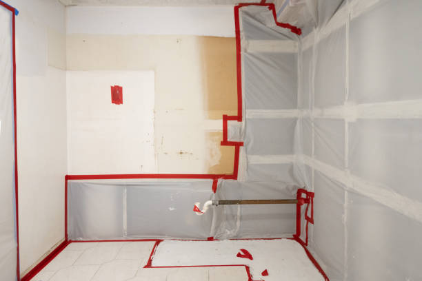 Best Commercial Mold Inspection  in Algona, IA