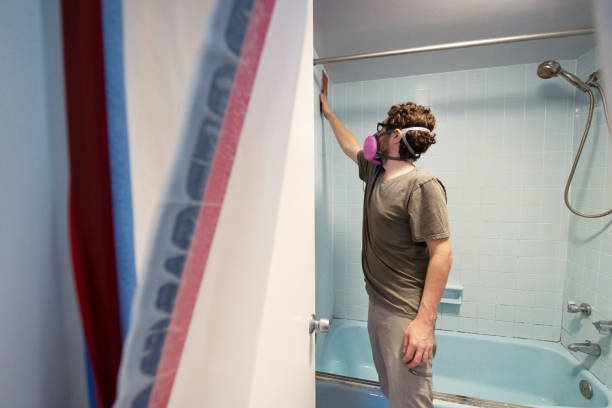 Trusted Algona, IA Mold Removal Experts