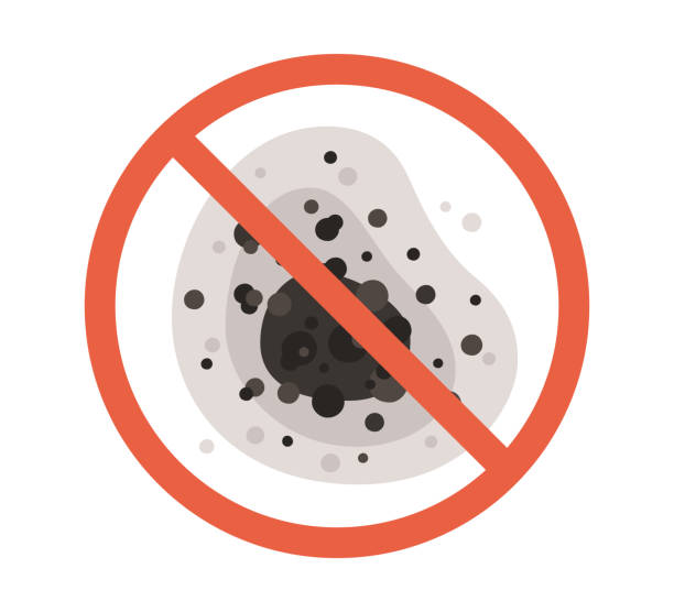 Best Mold Documentation for Insurance Claims  in Algona, IA