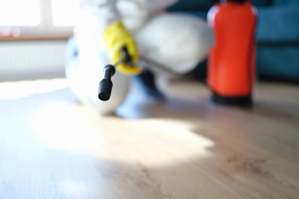 Asbestos and Lead Testing During Mold Inspection in Algona, IA