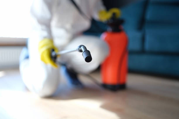  Algona, IA Mold Removal Pros