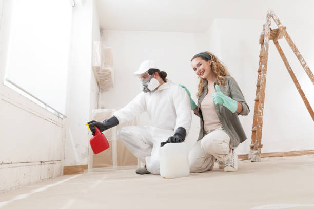 Best Indoor Air Quality Assessment  in Algona, IA