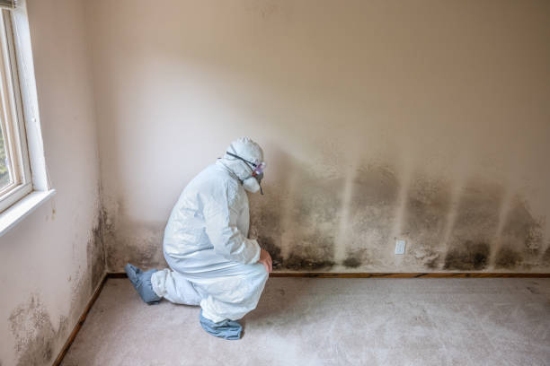 Best Residential Mold Inspection & Testing  in Algona, IA